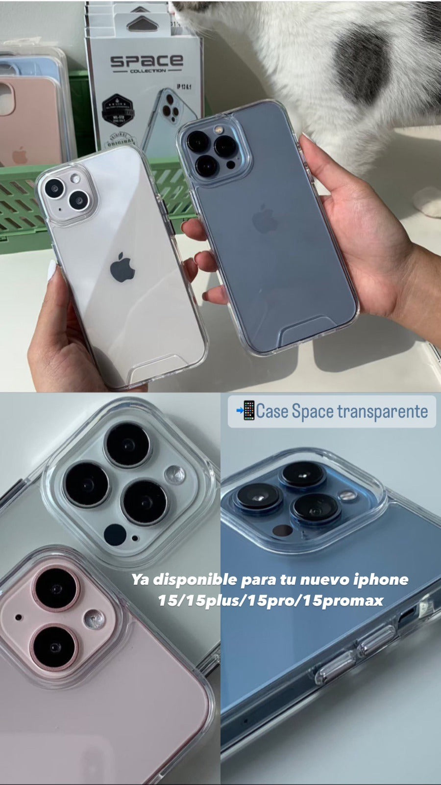 Case space transparente